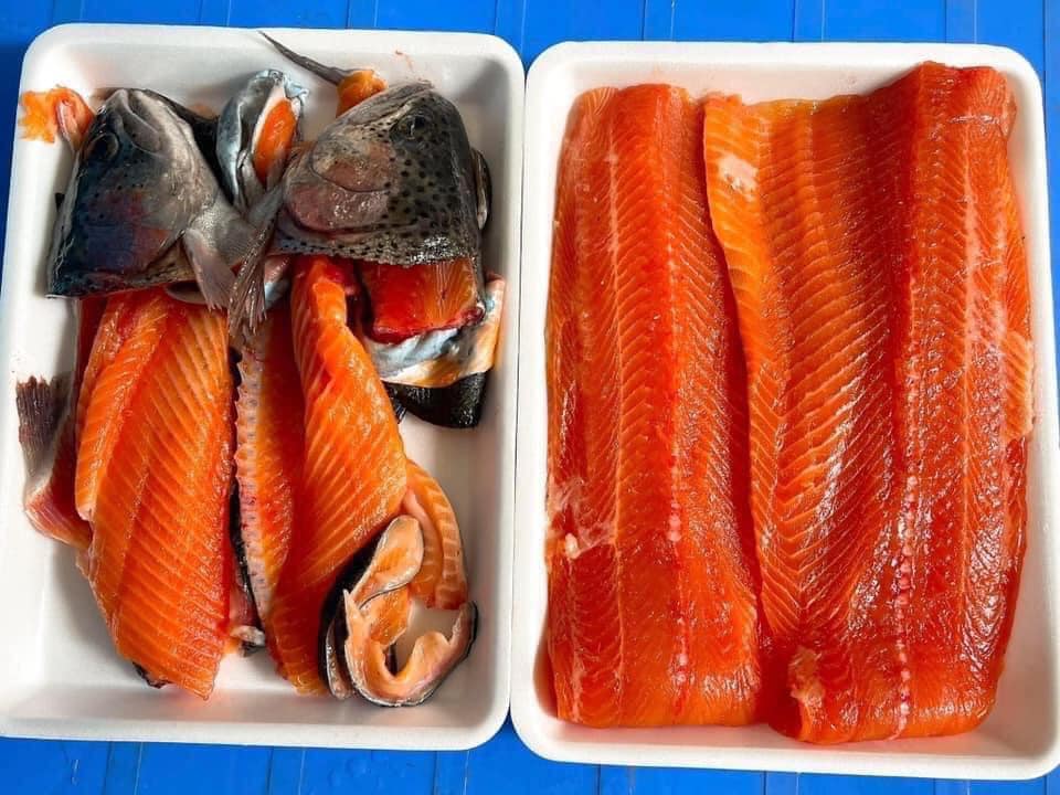 Giá cá hồi nguyên con bao nhiêu?