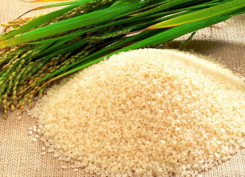 Cách nấu rượu Làng Vân