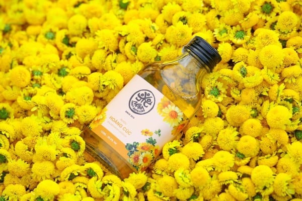 Cách làm rượu Mầm - hoa cúc