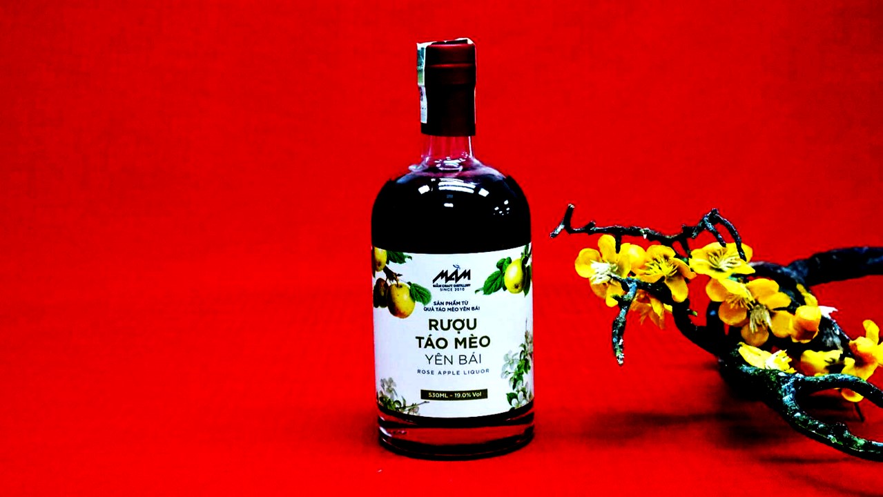 Hướng dẫn làm Rượu Mầm - Táo mèo 