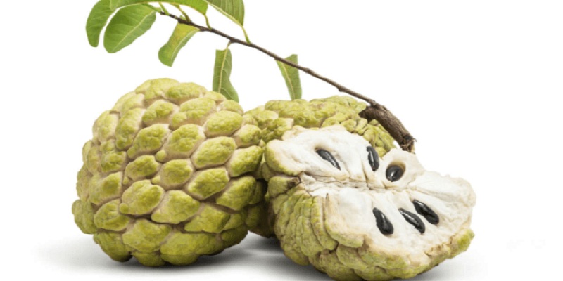 Nhận biết na bở Chi Lăng, Thủy Nguyên, Hà Giang chính hiệu