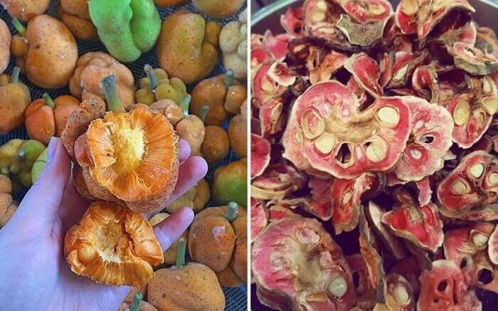 Vài nét về quả chay