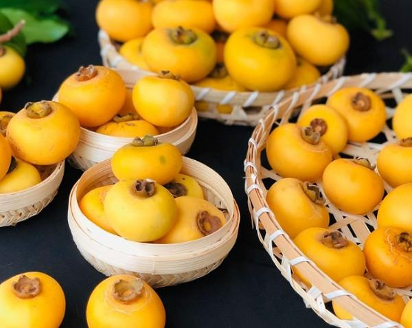 Tại sao quả thị thường để ngửi chứ không ăn?