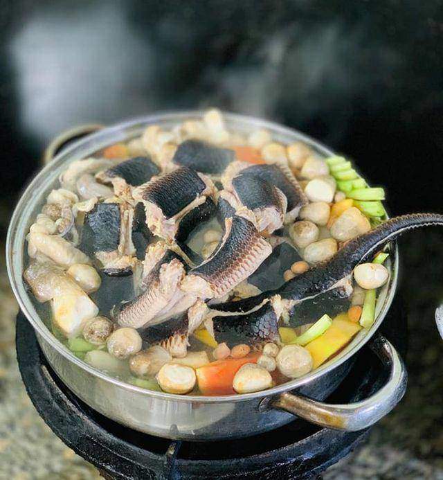 Rắn dồi Rắn dồi